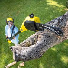 Lawn Edging in St Bonaventure, NY