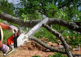 Best Soil Testing and Treatment  in St Bonaventure, NY